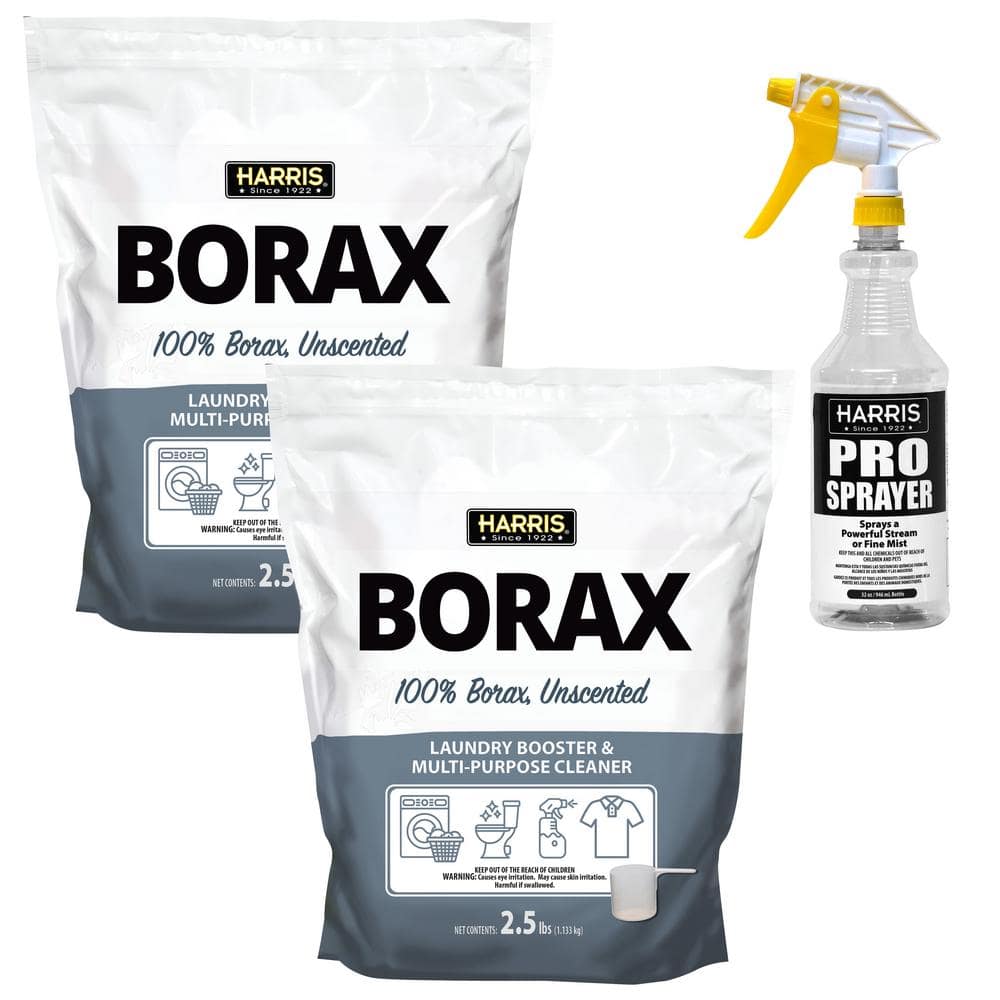 Borax Powder Scrub