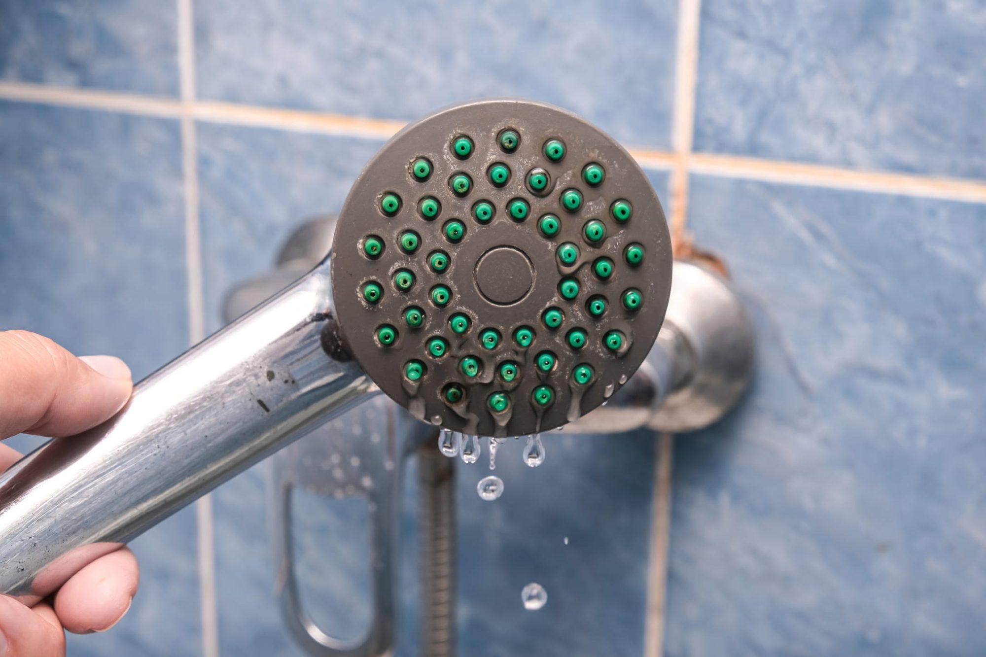 Detecting Showerhead Leaks