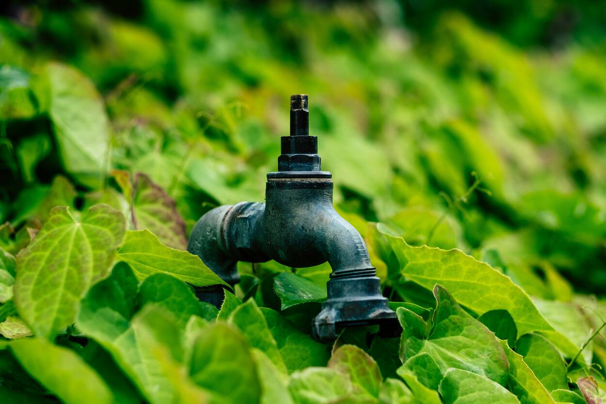 Fixing a Leaking Garden Tap